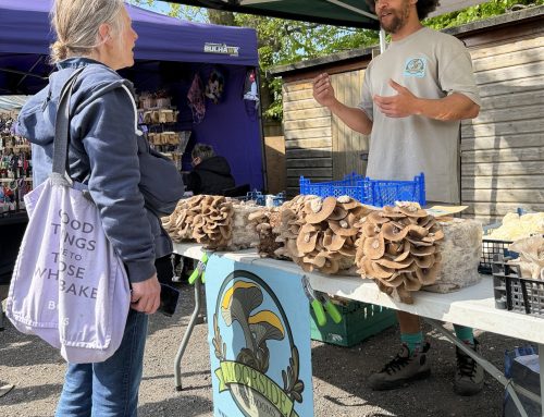 Hovingham Village Market Launches Young Enterprise Award
